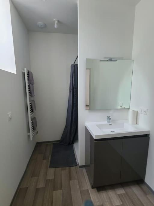 Logement Centre Ville Maurs Zewnętrze zdjęcie